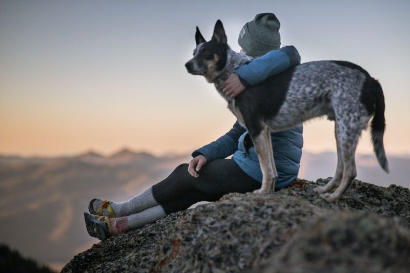 A Man Sat on the Mountain With Dog