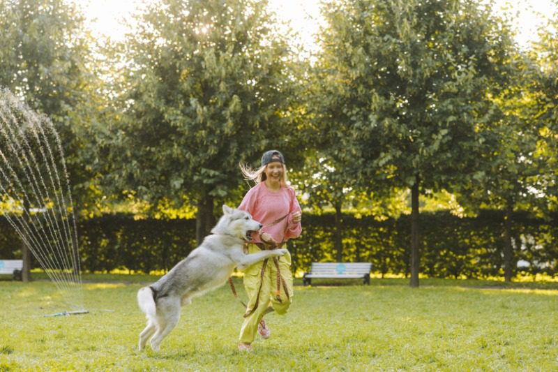 Woman Giving Training to Her Dog